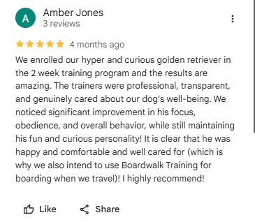 Amber Jones Boardwalk Dog Training Reviews